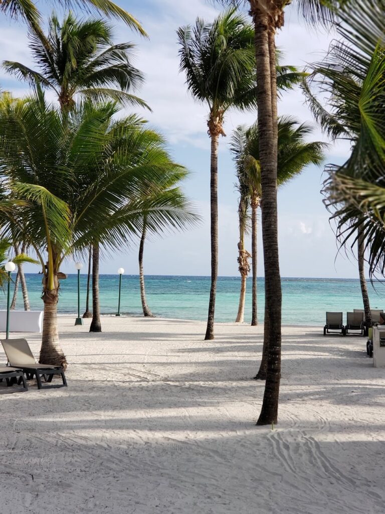 An empty Caribbean beach in October during shoulder season travel.  A serene beach scene featuring tall palm trees, white sand, and a calm turquoise ocean under a blue sky. Lounge chairs are positioned on the sand, providing a perfect spot for relaxation.